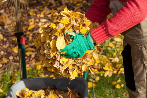 Commercial waste removal services in Crystal Palace