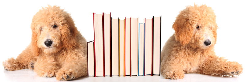 Regain Your Home's Comfort with Specialized Clutter Removal